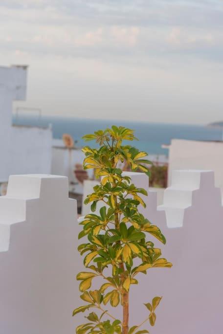 Dar Louban House In Tangier Kasbah Apartment ภายนอก รูปภาพ
